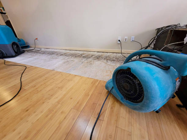 Professional Structural Drying technician working in Carl Junction, MO